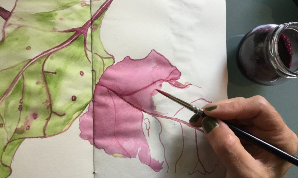 have beets and a stick? make ink and a pen